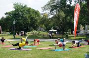 Bewegt im Park ©ASKOEWAT
