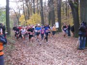 1. Jubiläumswarte Lauf ©WAT